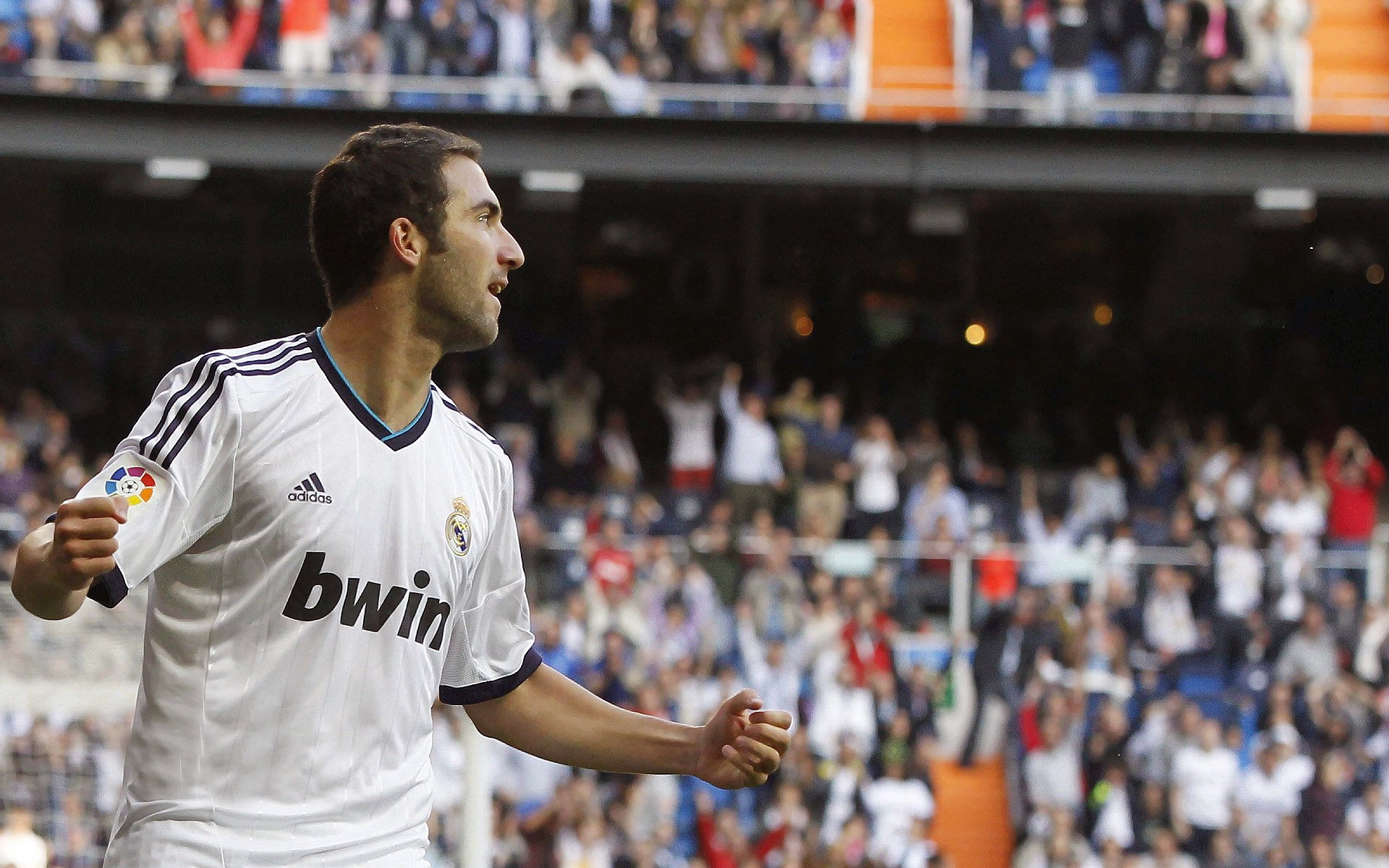 开云体育官方网站-当佛罗伦萨的月光照亮土耳其的夜,拉亚,那个改写命运的人